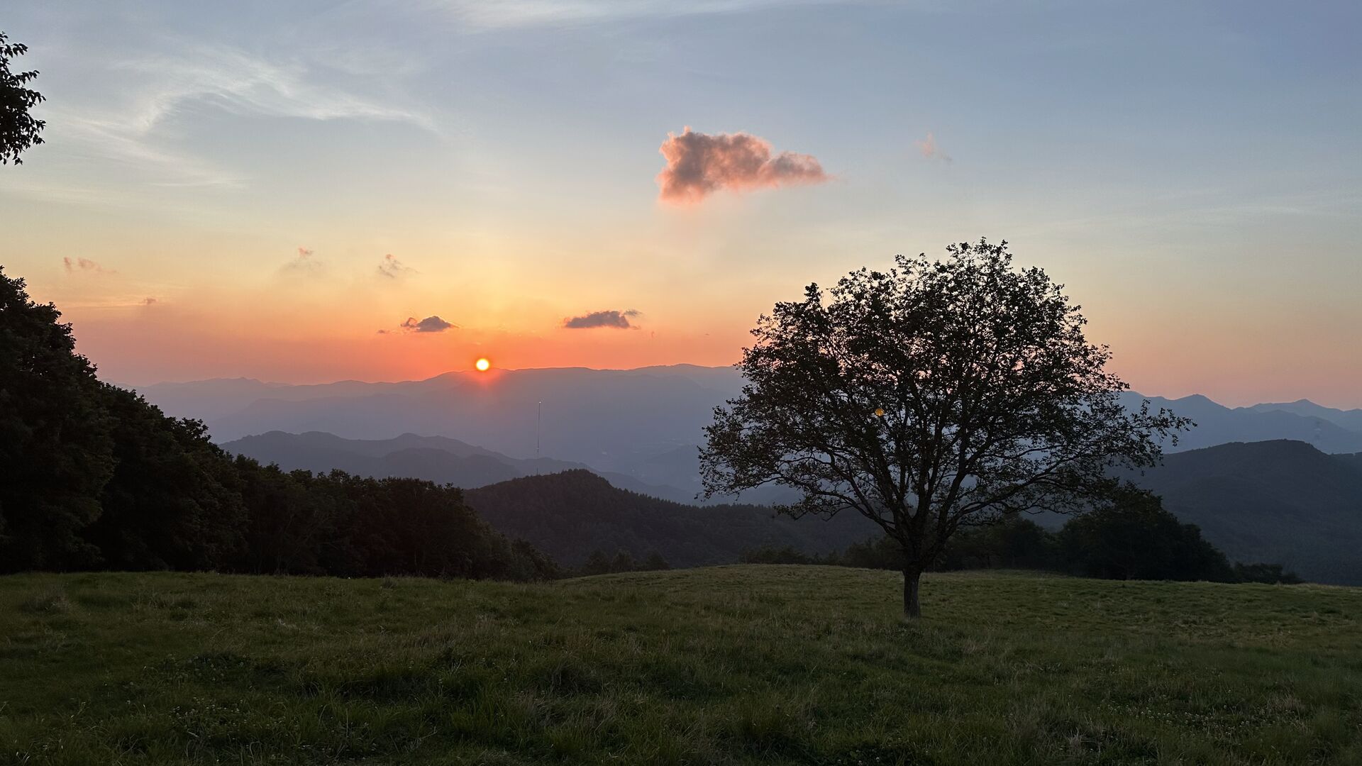 La historia continúa (2023–Present)