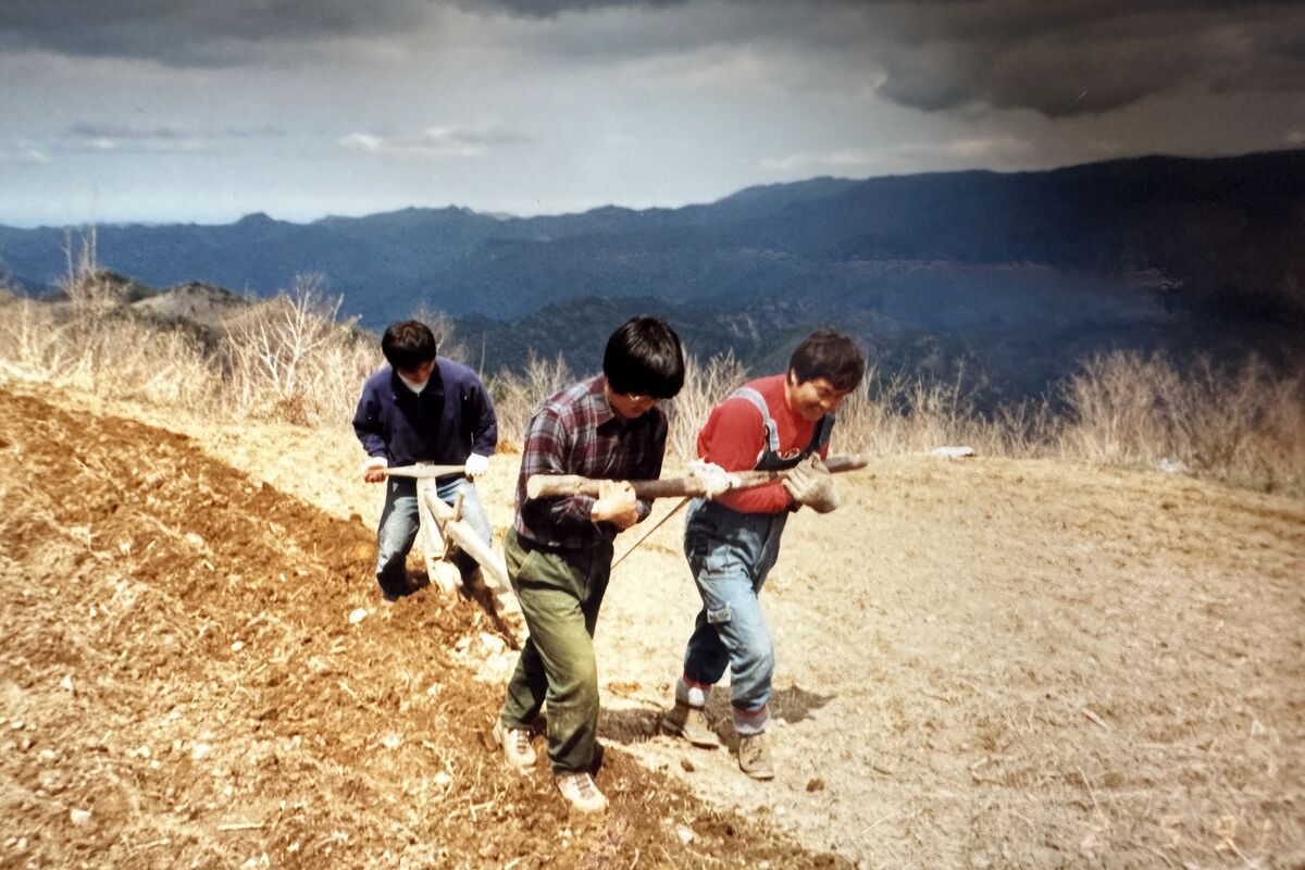 El desierto (1965–1970)